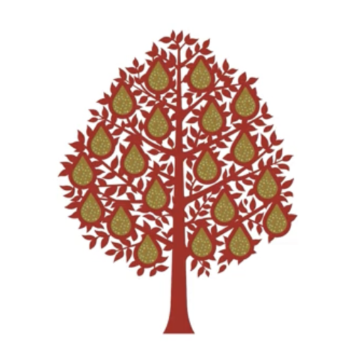 Welcome to our new school website.